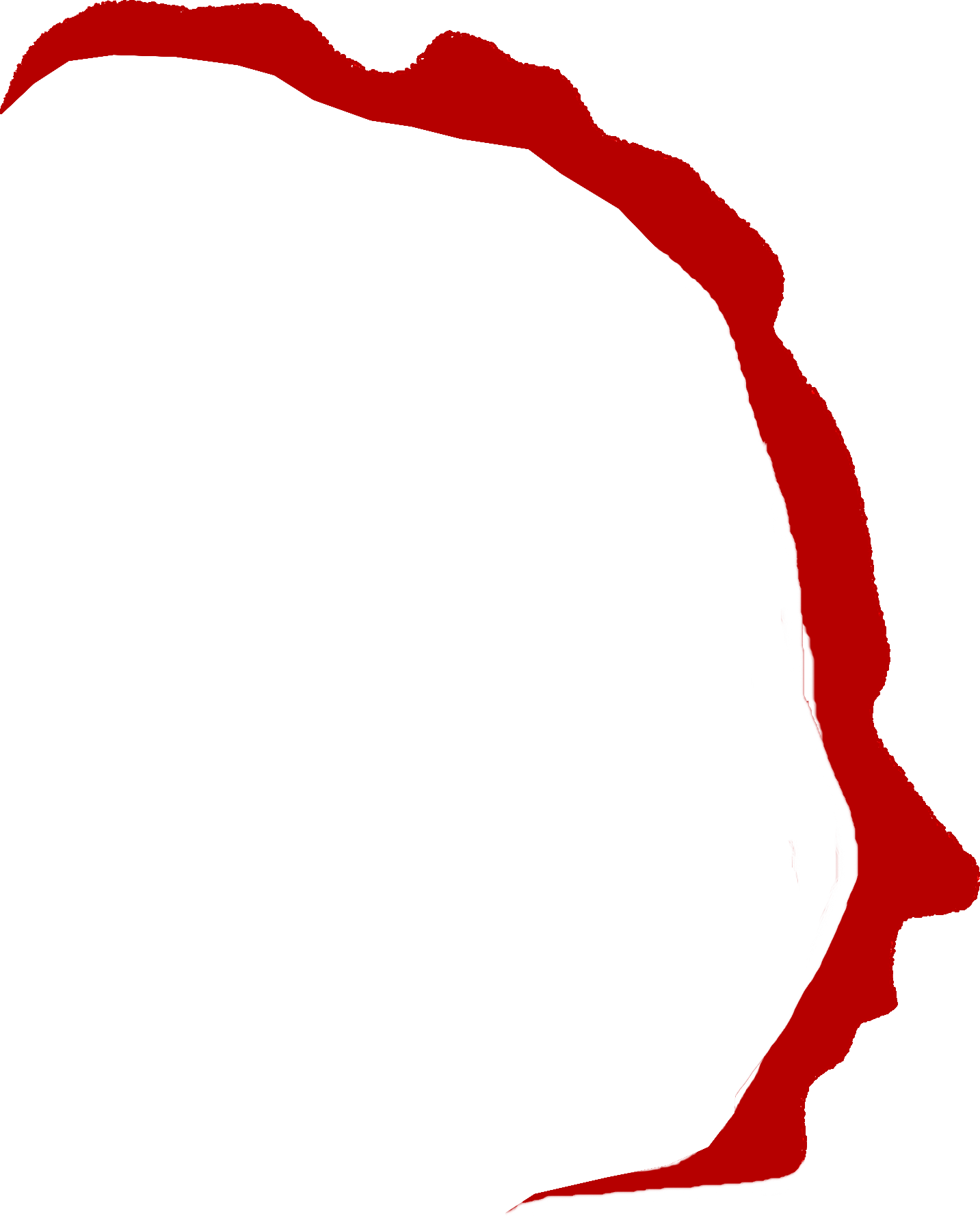 profilo